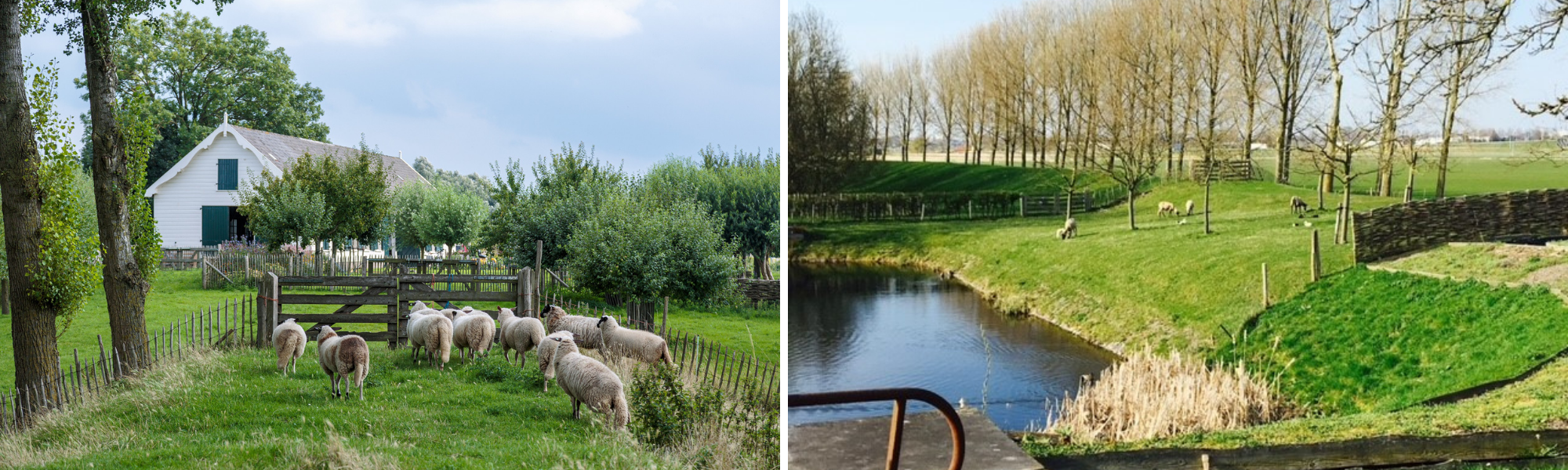 Locatie BoerBos