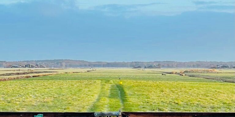 WhatsApp Image 2022-02-23 at 07.47.18